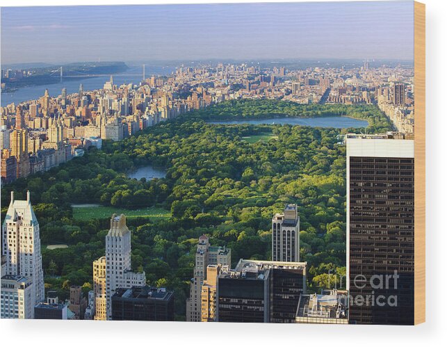 New York Wood Print featuring the photograph Central Park by Brian Jannsen