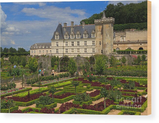 Potager Wood Print featuring the photograph Chateau de Villandry #1 by Louise Heusinkveld