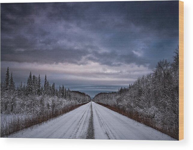 Chena Hot Springs Wood Print featuring the photograph Chena Hot Springs Road #1 by Robert Fawcett