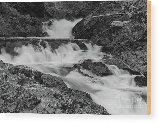 Chippewa Falls Monochrome Wood Print featuring the photograph Chippewa Falls #1 by Rachel Cohen