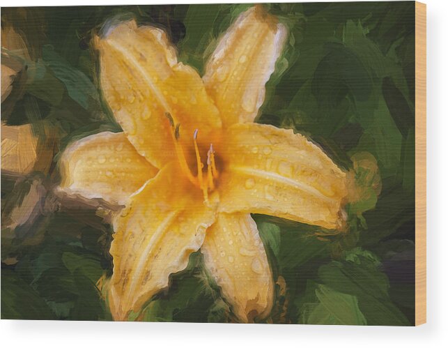 Flower Wood Print featuring the photograph Daylily Hemerocallis Stella de Oro #2 by Rich Franco