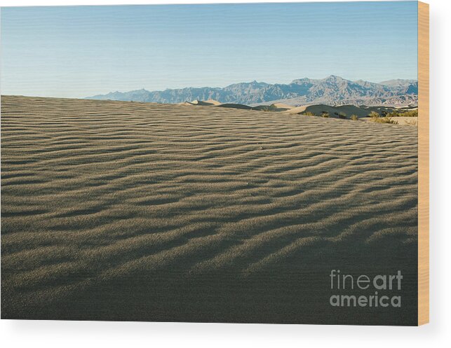 Dunes Wood Print featuring the photograph Death Valley 13 #1 by Micah May