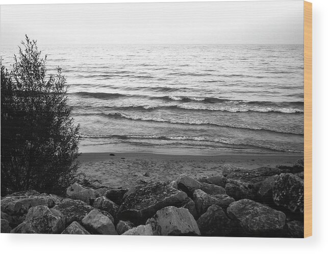 Jamie Lynn Gabrich Wood Print featuring the photograph Distance #2 by JamieLynn Warber