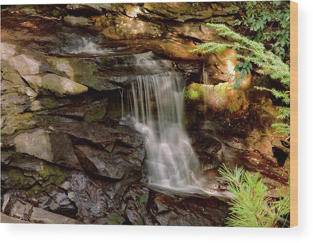 Waterfall Wood Print featuring the photograph Doane's Falls #1 by Lilia S