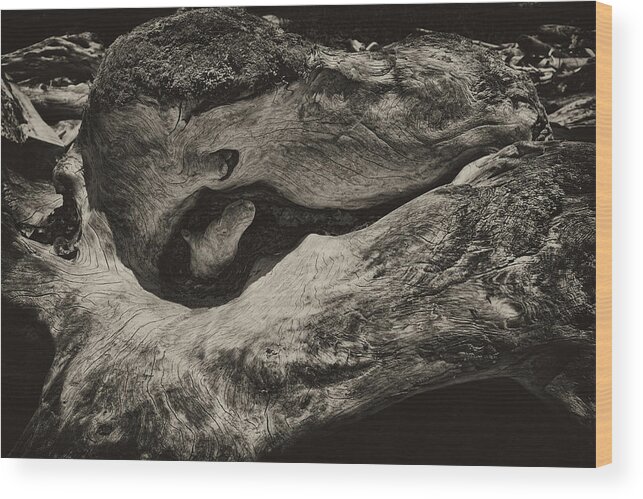 Oregon Wood Print featuring the photograph Driftwood #1 by Hugh Smith