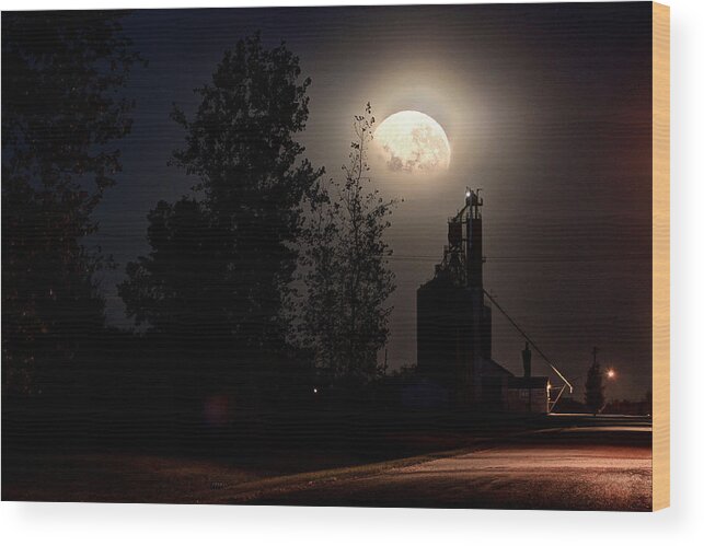Old Buildings Wood Print featuring the photograph Elevator Moon #1 by David Matthews