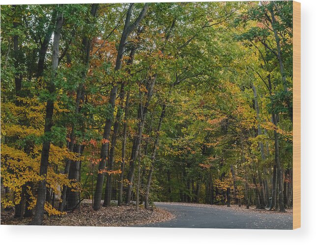 Park Wood Print featuring the photograph Fall foliage #1 by SAURAVphoto Online Store