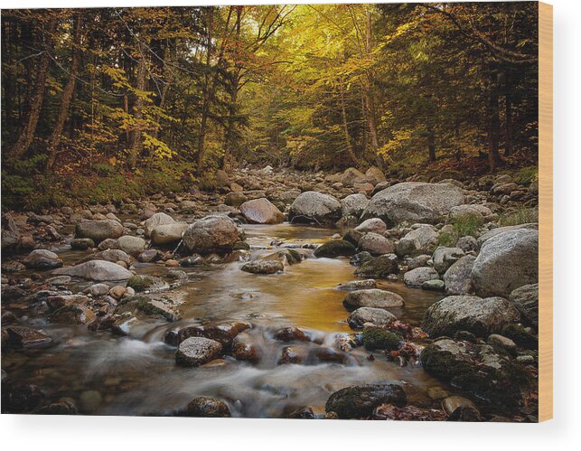 Fall Wood Print featuring the photograph Fall on the Gale River #1 by Benjamin Dahl