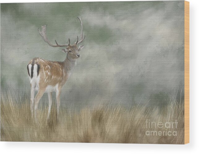 Fallow Deer Wood Print featuring the digital art Fallow Deer Portrait II by Jayne Carney