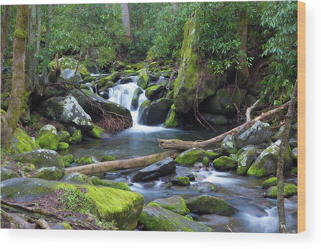 Waterfall Wood Print featuring the photograph Falls #1 by Lindsey Weimer