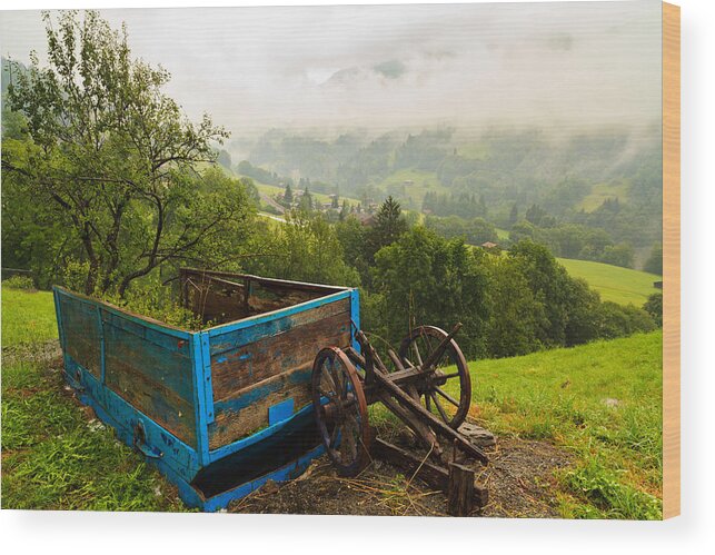 Bavarian Wood Print featuring the photograph Farm Carriage #1 by Raul Rodriguez