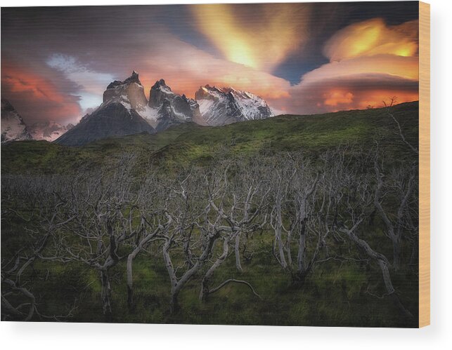 Paine Massif Wood Print featuring the photograph Fire in the Sky by Nicki Frates