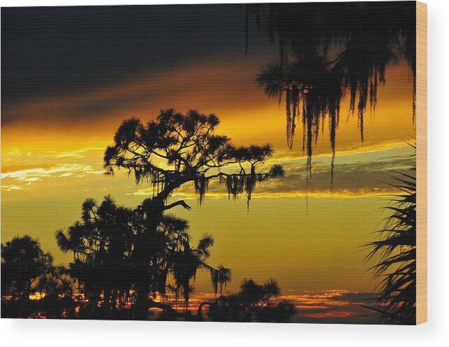 Sunset Wood Print featuring the photograph Central Florida Sunset by David Lee Thompson