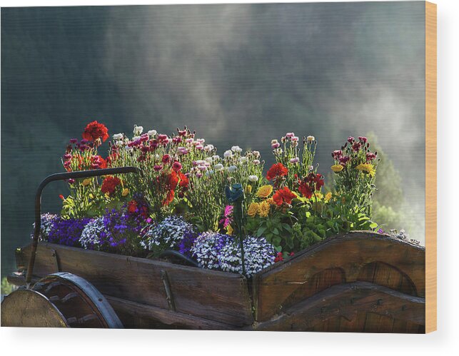 Flower Wood Print featuring the photograph Flowers #2 by Paul MAURICE