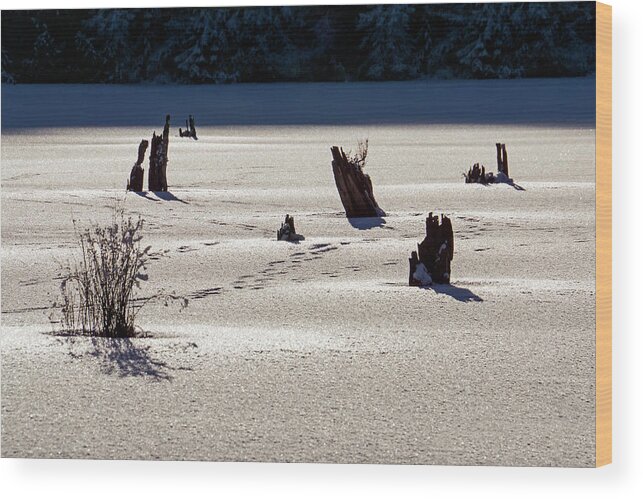 Frozen Wood Print featuring the photograph Frozen Lake #1 by Inge Riis McDonald