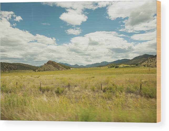  Wood Print featuring the photograph Golden Meadows #1 by Carl Wilkerson