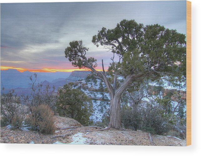 Grand Canyon Wood Print featuring the photograph Grand Canyon #1 by Greg Smith