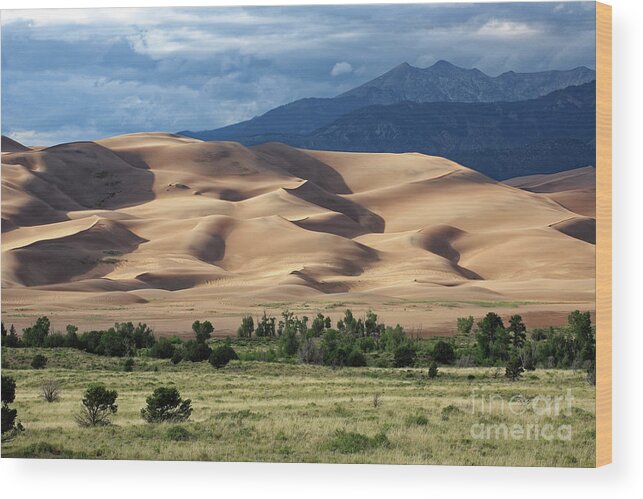 Great Sand Dunes Wood Print featuring the photograph Great Sand Dunes NP, Colorado, USA #2 by Kevin Shields