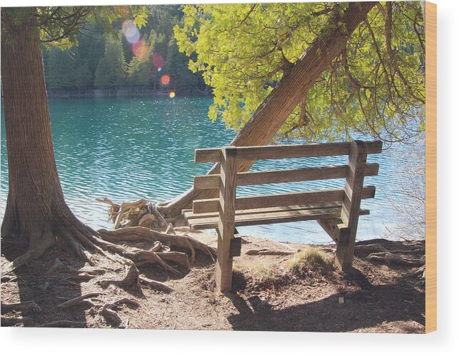Landscape Wood Print featuring the photograph Green Lakes #1 by David Stasiak