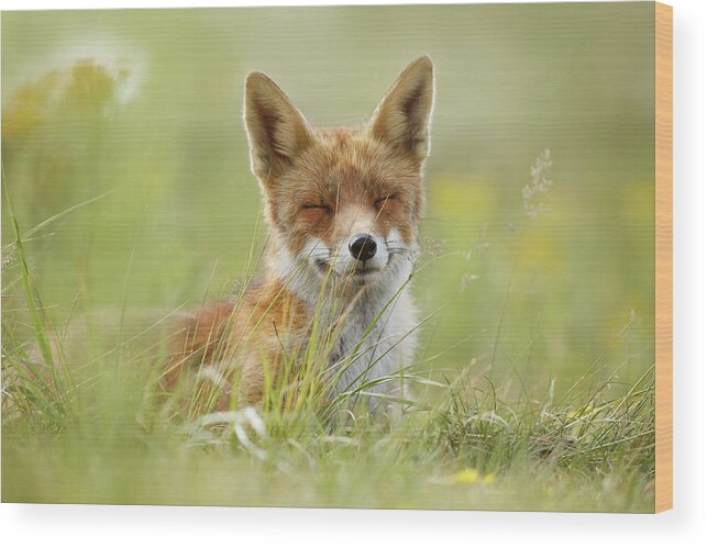 Fox Wood Print featuring the photograph Happy Fox is Happy #1 by Roeselien Raimond