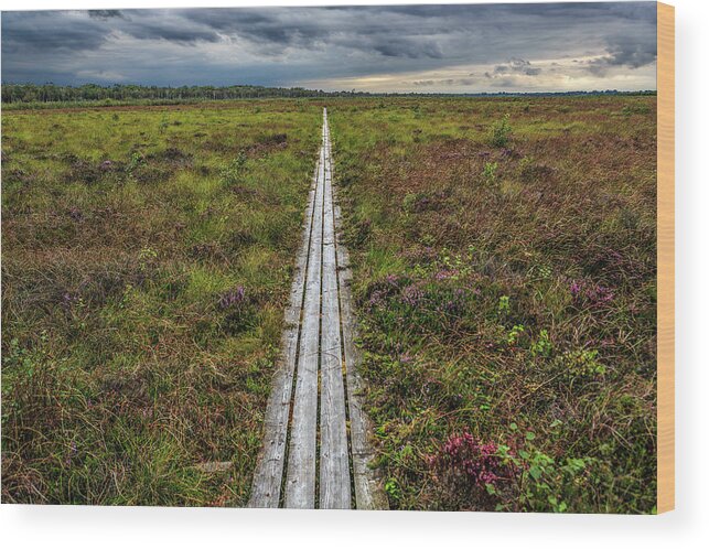 Forest Wood Print featuring the photograph Heather #1 by Elmer Jensen