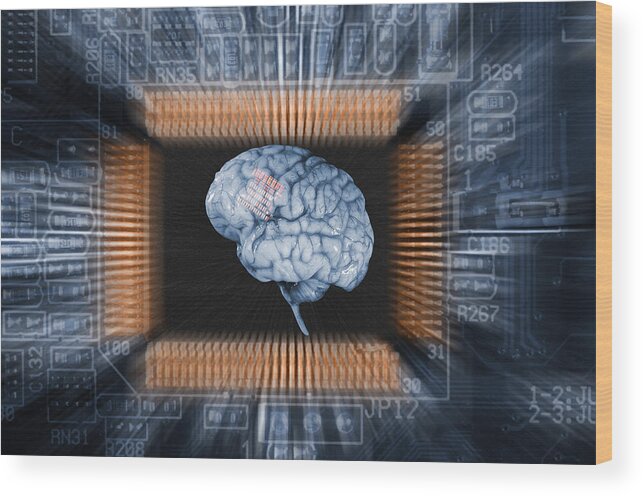 Artificial Wood Print featuring the photograph Human Brain And Communication #1 by Christian Lagereek