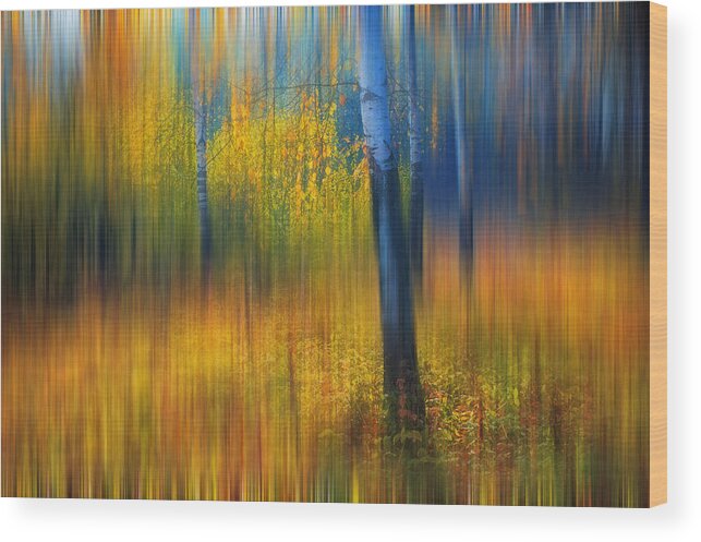 Autumn Wood Print featuring the photograph In the Golden Woods. Impressionism #2 by Jenny Rainbow