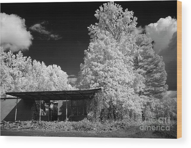 Fineartroyal Wood Print featuring the photograph Infrared #1 by FineArtRoyal Joshua Mimbs