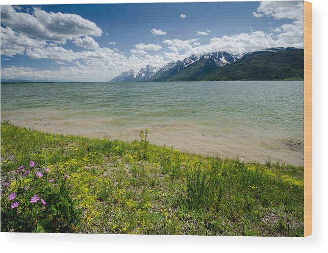 Nature Wood Print featuring the photograph Jackson Lake by Crystal Wightman