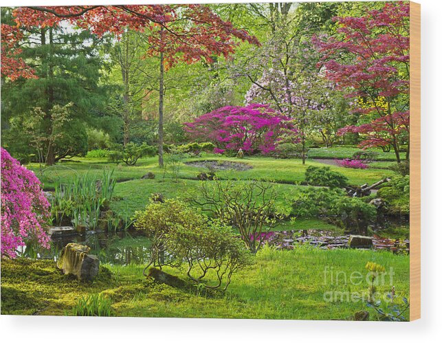 Japanese Wood Print featuring the photograph Japanese garden #2 by Anastasy Yarmolovich