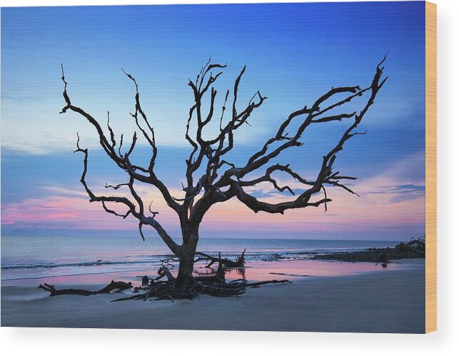 Georgia Wood Print featuring the photograph Jekyll Island Dawn by Harriet Feagin