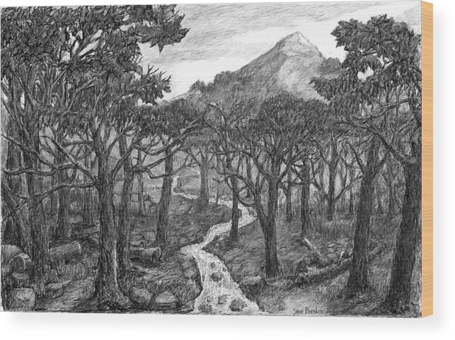 Acadia Wood Print featuring the digital art Jordan Creek #1 by Steve Breslow