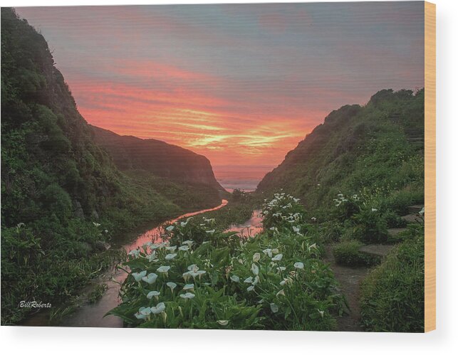 Big Sur Wood Print featuring the photograph Lilies Of the Gulch by Bill Roberts