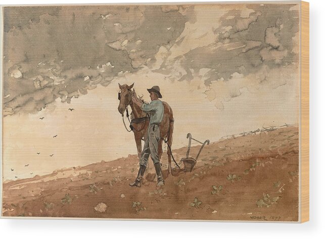 Winslow Homer Wood Print featuring the drawing Man with Plow Horse by Winslow Homer
