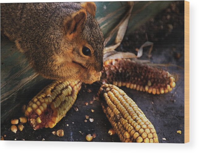 Squirrel Wood Print featuring the photograph Miss Messy #1 by Kathleen Stephens