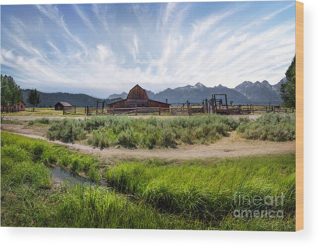 Mormon Row Morning Wood Print featuring the photograph Mormon Row Morning by Karen Jorstad