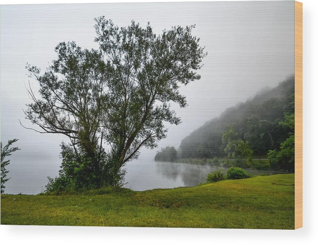  Wood Print featuring the photograph Morning mist #1 by Brian Stevens