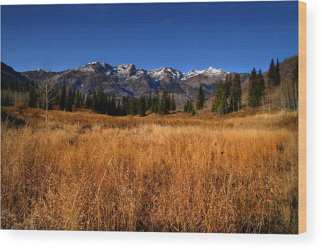 Autumn Wood Print featuring the photograph Mountain Splender 27 #1 by Mark Smith
