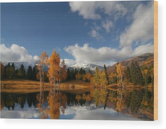 Autumn Wood Print featuring the photograph Mountain Splender 45 by Mark Smith