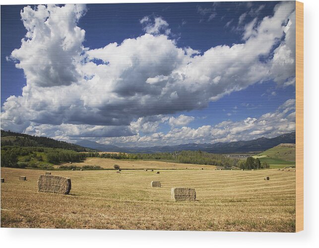 Blue Clean Clear Clouds Color Colorful Country Field Flora Freed Wood Print featuring the photograph MountainFarm #1 by Mark Smith