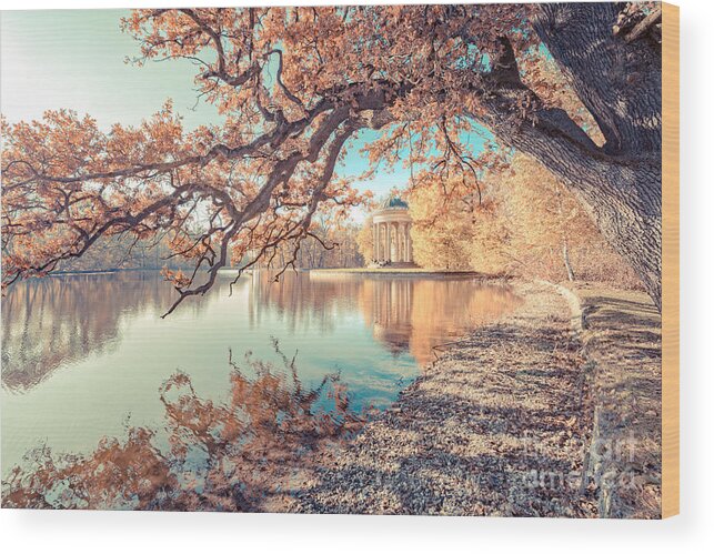 Bavaria Wood Print featuring the photograph Munich at fall #1 by Hannes Cmarits