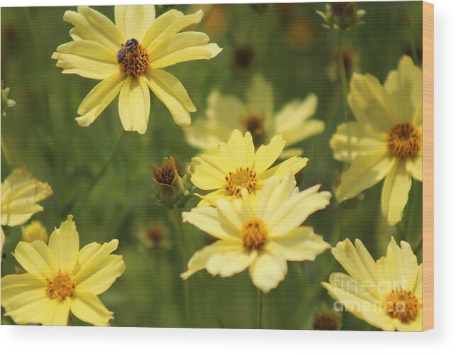 Yellow Wood Print featuring the photograph Nature's Beauty 63 by Deena Withycombe