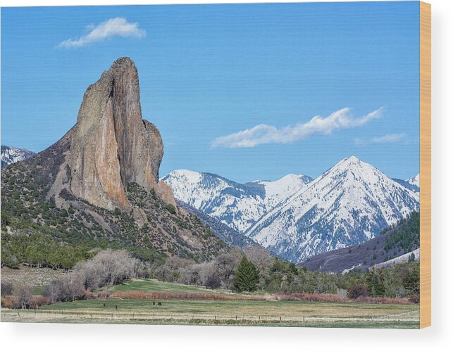 Crawford Wood Print featuring the photograph Needle Rock #2 by Angela Moyer