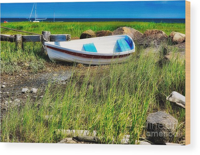 Cape Cod Wood Print featuring the photograph Northeast #1 by Buddy Morrison