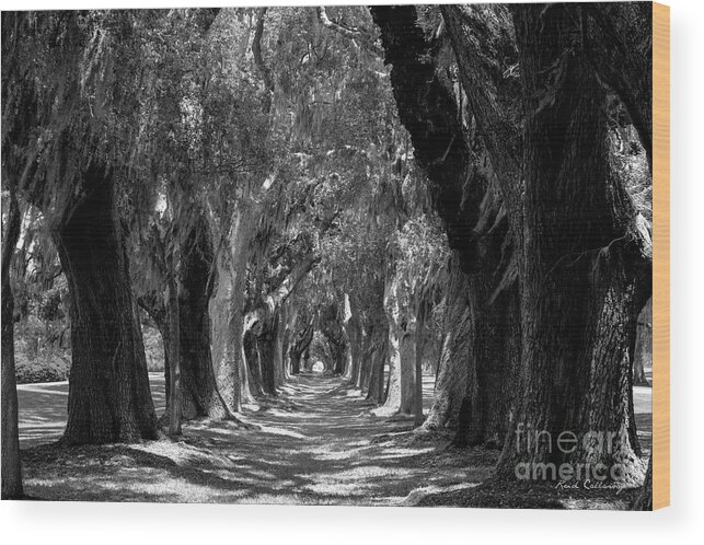 Reid Callaway Ave Of Oaks Wood Print featuring the photograph Oak Alley St Simons Island Georgia #1 by Reid Callaway
