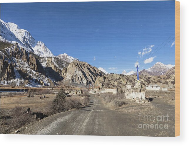 Ancient Wood Print featuring the photograph On the Annapurna circuit trekking near Manang in Nepal #1 by Didier Marti