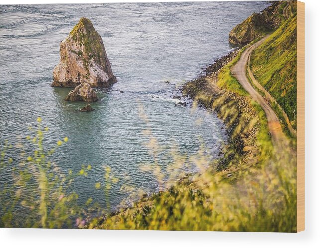Big Wood Print featuring the photograph Pacific Ocean Coastal Scenes Of Beaches Rocks And Cliffs #1 by Alex Grichenko