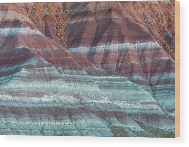 Landscape Wood Print featuring the photograph Paria Canyon by Chuck Jason