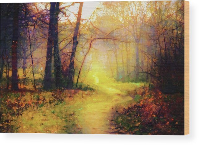 Path In The Woods Wood Print featuring the mixed media Path in the woods #1 by Lilia S