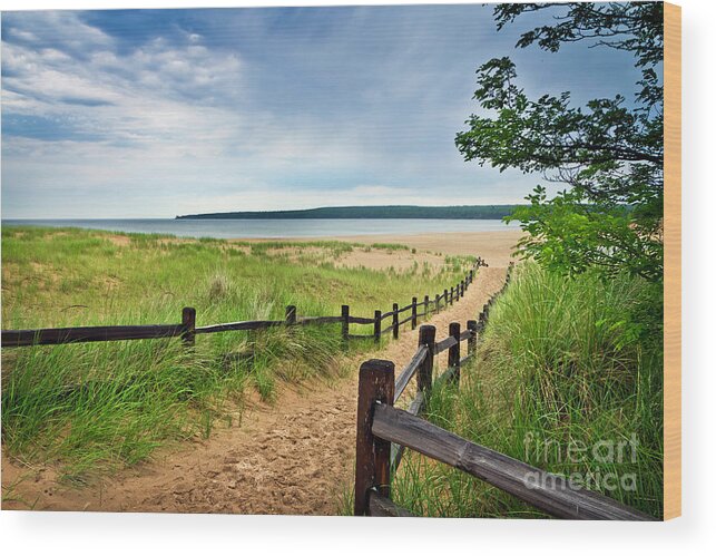 Path To Au Train Beach Lake Superior Michigan Wood Print featuring the photograph Path to Au Train Beach #1 by Karen Jorstad